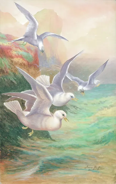 Framed Print : Seagulls by George Rankin Framed Print : Seagulls by George Rankin