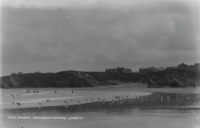 Framed Print : Seagulls and Bathers at Newquay Framed Print : Seagulls and Bathers at Newquay