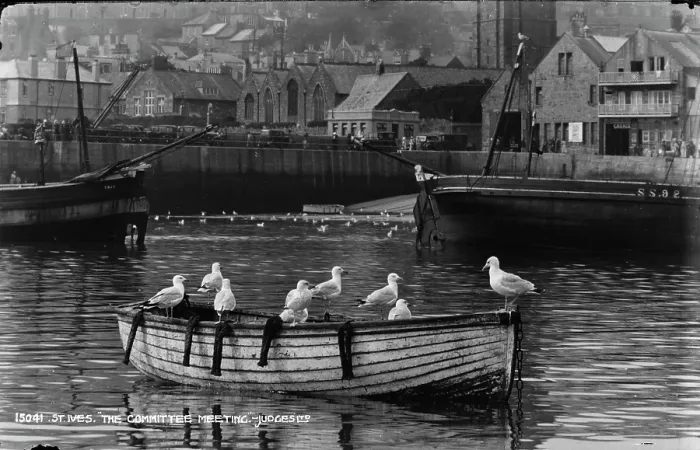 Framed Print : Seagulls on a Boat in St. Ives Framed Print : Seagulls on a Boat in St. Ives