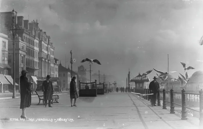 Framed Print : Seagulls at Hastings Seafront Framed Print : Seagulls at Hastings Seafront