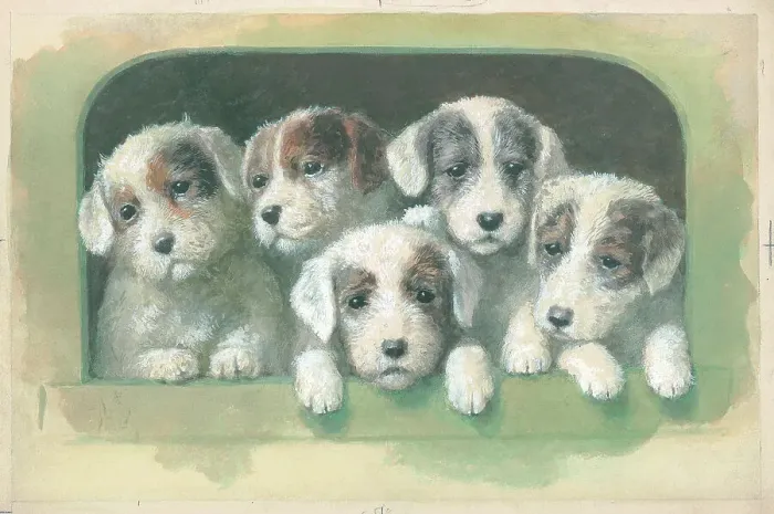 Framed Print : Sealyham Pups Framed Print : Sealyham Pups