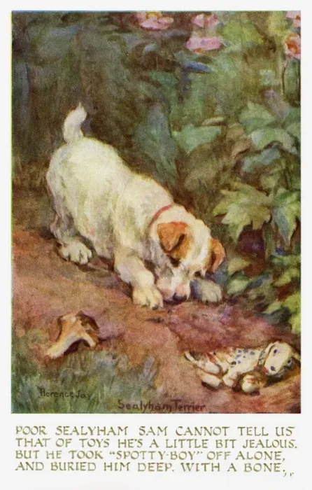 Framed Print : Sealyham terrier Framed Print : Sealyham terrier