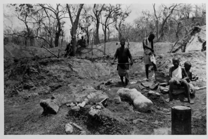 Framed Print : Searching for dinosaur fossils, Tendaguru, 1924 Framed Print : Searching for dinosaur fossils, Tendaguru, 1924