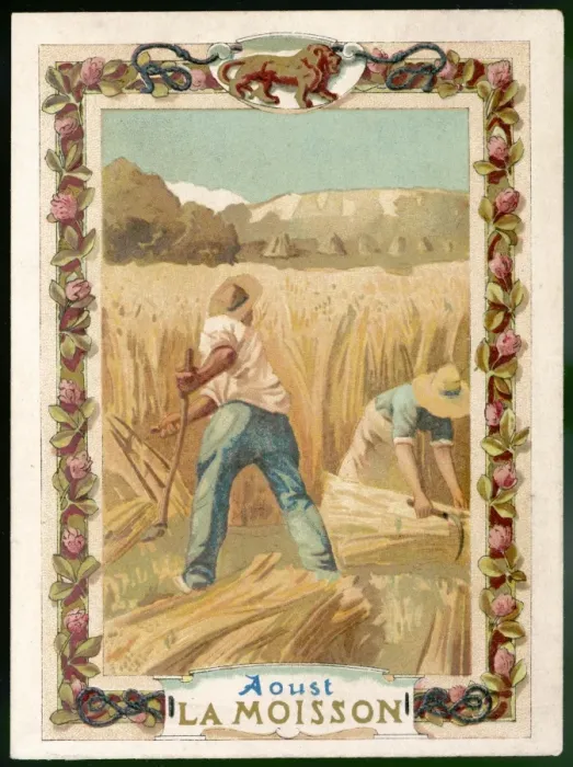 Framed Print : Seasons / August / Harvest Framed Print : Seasons / August / Harvest