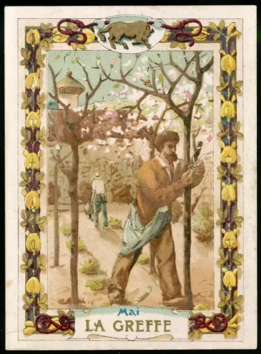 Framed Print : Seasons / May / Grafting Framed Print : Seasons / May / Grafting
