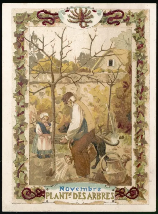 Framed Print : Seasons / November / Trees Framed Print : Seasons / November / Trees