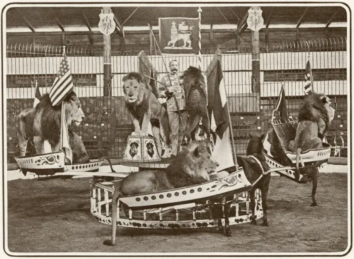 Framed Print : Seeths lions in swing boats at the London Hippodrome Framed Print : Seeths lions in swing boats at the London Hippodrome