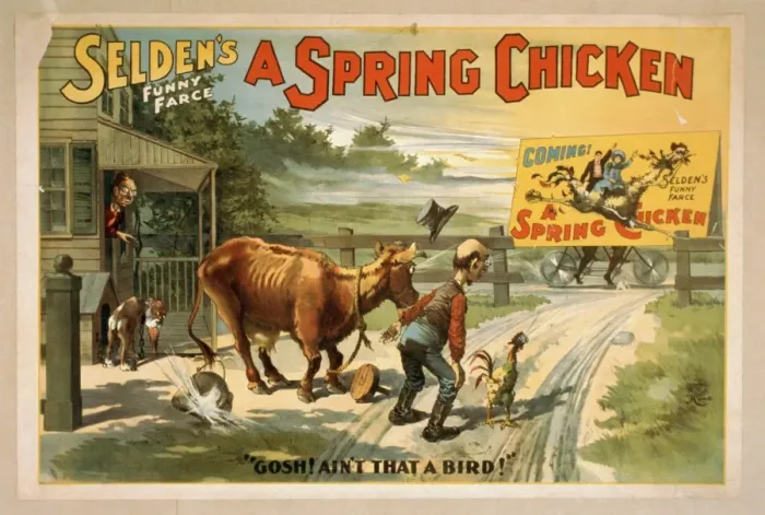 Framed Print : Seldens funny farce, A spring chicken Framed Print : Seldens funny farce, A spring chicken
