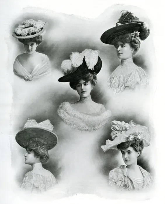 Framed Print : Selection of Parisienne women wearing featered hats 1904 Framed Print : Selection of Parisienne women wearing featered hats 1904