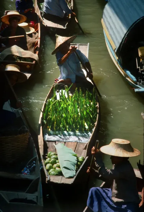 Framed Print : Seller paddles his boat into Damnoen Saduak floating market Framed Print : Seller paddles his boat into Damnoen Saduak floating market