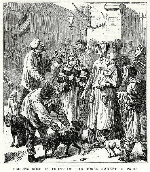 Selling dogs for food 1871