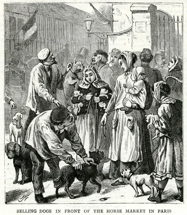 Framed Print : Selling dogs for food 1871 Framed Print : Selling dogs for food 1871