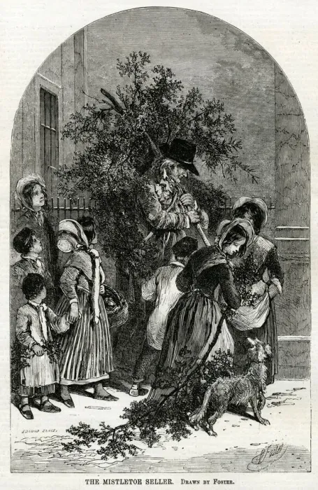Framed Print : Selling mistletoe in streets 1854 Framed Print : Selling mistletoe in streets 1854
