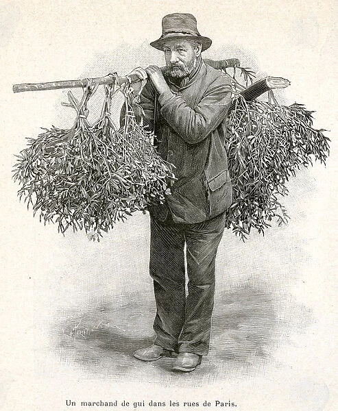 Selling mistletoe in streets 1894