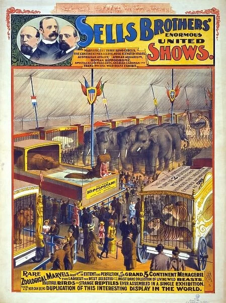 Sells Brothers enormous united shows - Rare zoological marv