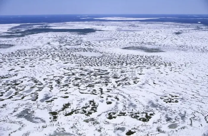 Framed Print : Semi-tundra aerial, North Siberia Framed Print : Semi-tundra aerial, North Siberia