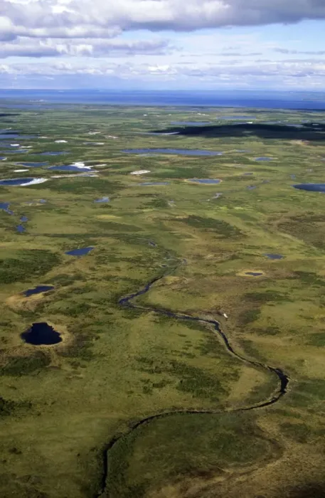 Framed Print : Semi-tundra, aerial view from a helicopter Framed Print : Semi-tundra, aerial view from a helicopter