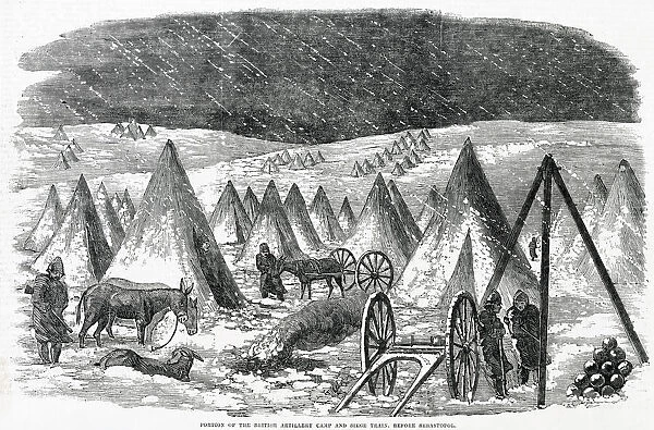 Sentries and donkeys enjoy the bracing weather in the British Artillery Camp