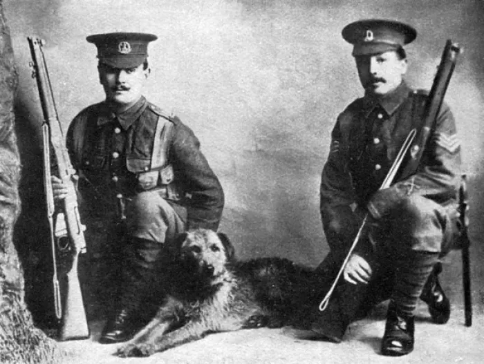 Framed Print : Sentry dog, WW1 Framed Print : Sentry dog, WW1