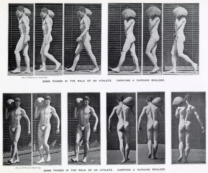 Framed Print : Sequences of man walking carrying a 30 kg stone on his shoulder. Date: 1880s Framed Print : Sequences of man walking carrying a 30 kg stone on his shoulder. Date: 1880s