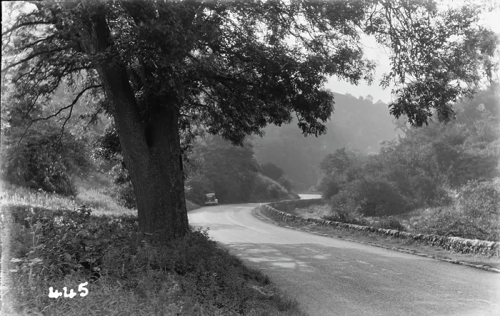 Framed Print : Serene Country Road Framed Print : Serene Country Road