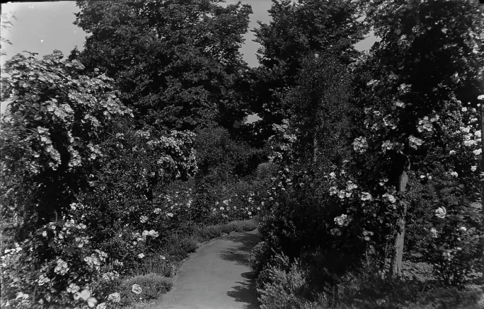 Framed Print : Serene Garden Path Framed Print : Serene Garden Path