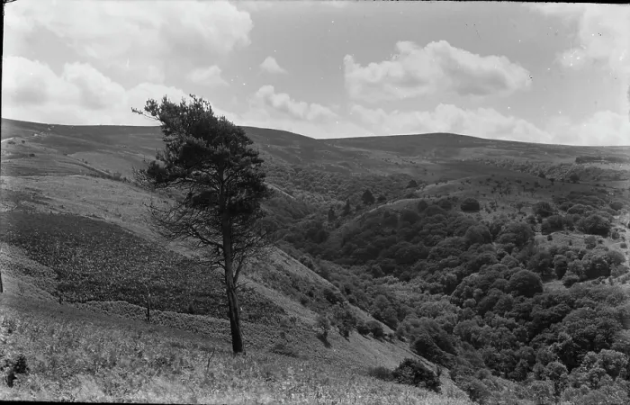 Framed Print : Serene Hillside View Framed Print : Serene Hillside View