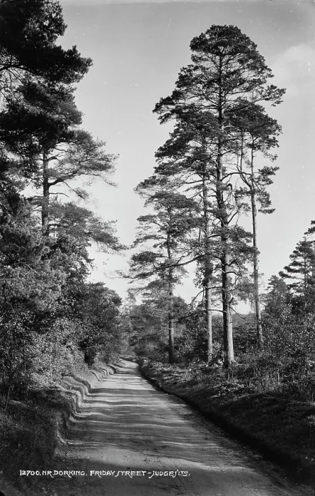 Framed Print : A Serene Pathway in Dorking Framed Print : A Serene Pathway in Dorking