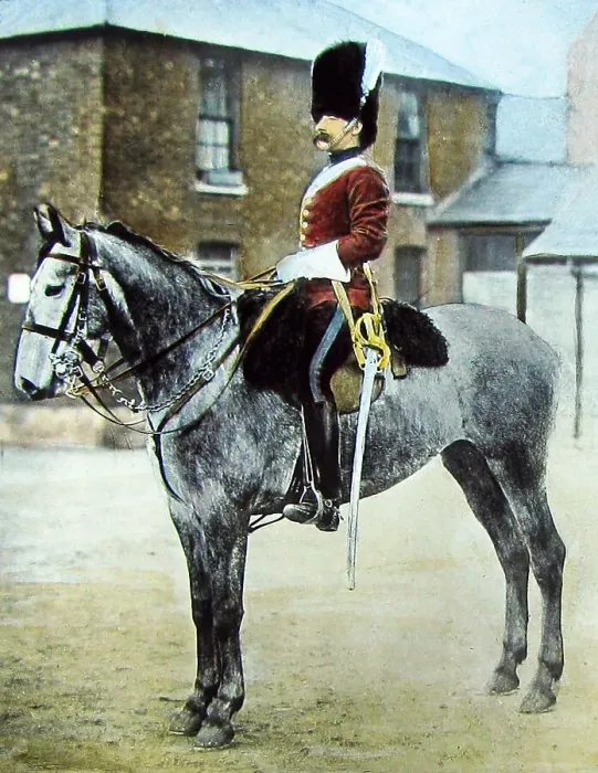 Framed Print : Sergeant Major in the 2nd Dragoon Guards Victorian period Framed Print : Sergeant Major in the 2nd Dragoon Guards Victorian period