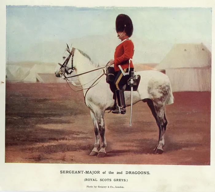 Framed Print : Sergeant-Major of the 2nd Dragoons, Royal Scots Greys