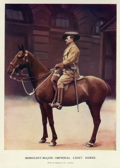 Framed Print : Sergeant-Major, Imperial Light Horse Framed Print : Sergeant-Major, Imperial Light Horse