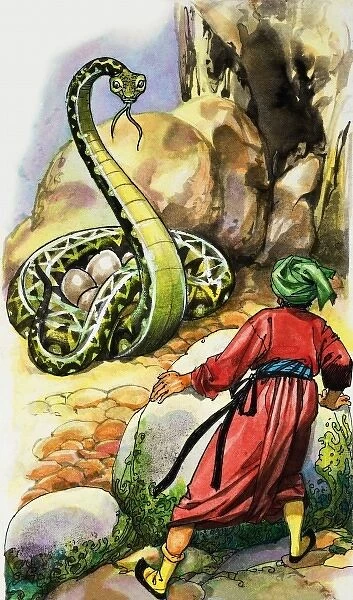 Serpent protecting its eggs