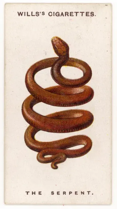 Framed Print : Serpent Talisman Framed Print : Serpent Talisman
