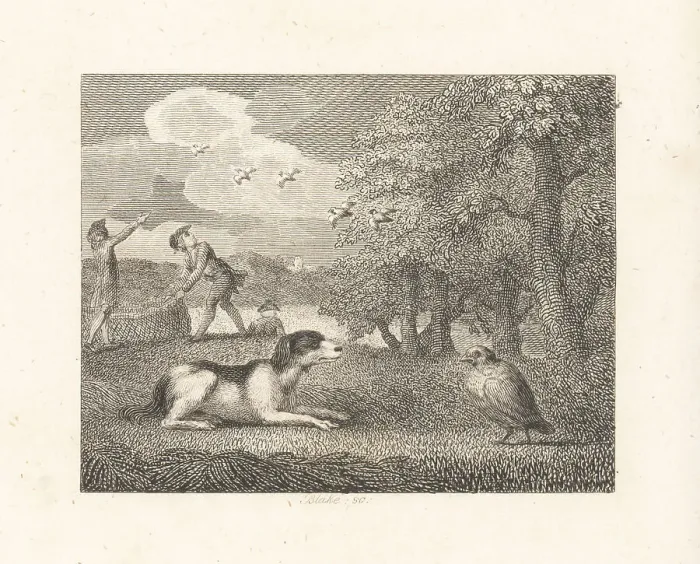 Framed Print : The Setting-Dog and the Partridge Framed Print : The Setting-Dog and the Partridge