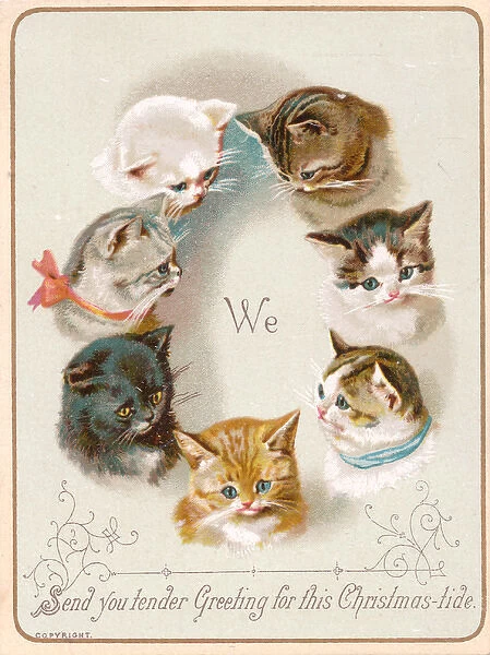 Seven cats on a Christmas card