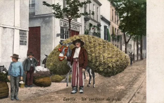 Framed Print : Seville, Spain - A Straw Seller Framed Print : Seville, Spain - A Straw Seller
