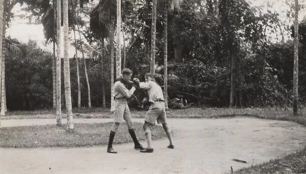 Seychelles Scouts Boxing