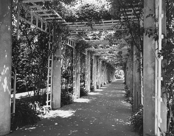 Shaded Walk. A shaded walk in the gardens of Huntington Library