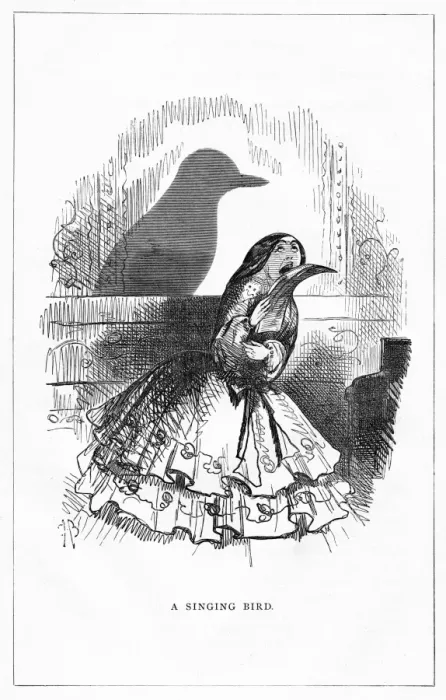 Framed Print : Shadow drawing. C. H. Bennett Framed Print : Shadow drawing. C. H. Bennett