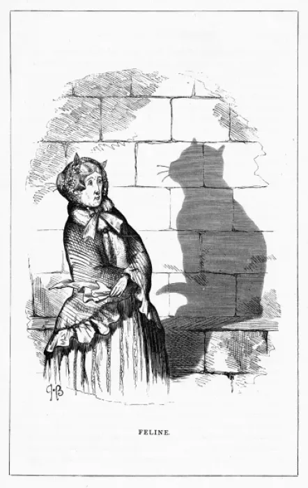 Framed Print : Shadow drawing. C. H. Bennett, Feline Framed Print : Shadow drawing. C. H. Bennett, Feline