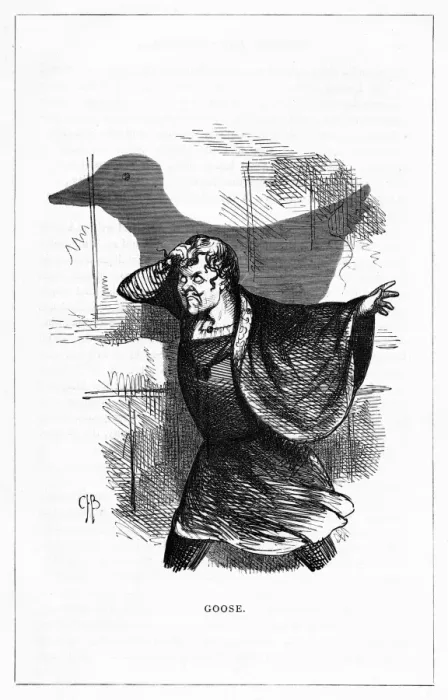 Framed Print : Shadow drawing. C. H. Bennett, Goose Framed Print : Shadow drawing. C. H. Bennett, Goose