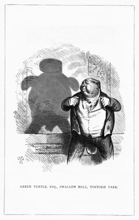 Framed Print : Shadow drawing. C. H. Bennett, Green Turtle Framed Print : Shadow drawing. C. H. Bennett, Green Turtle