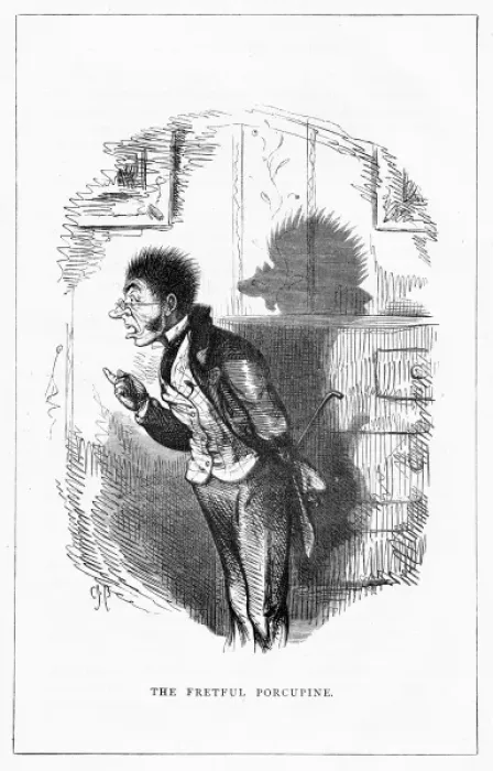 Framed Print : Shadow drawing. C. H. Bennett, Porcupine Framed Print : Shadow drawing. C. H. Bennett, Porcupine