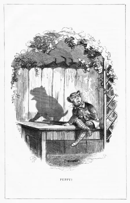 Framed Print : Shadow drawing. C. H. Bennett, Puppy Framed Print : Shadow drawing. C. H. Bennett, Puppy