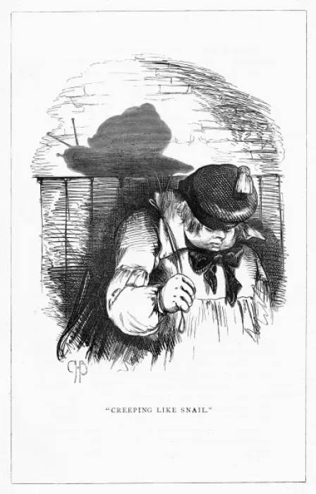 Framed Print : Shadow drawing. C. H. Bennett, Snail Framed Print : Shadow drawing. C. H. Bennett, Snail