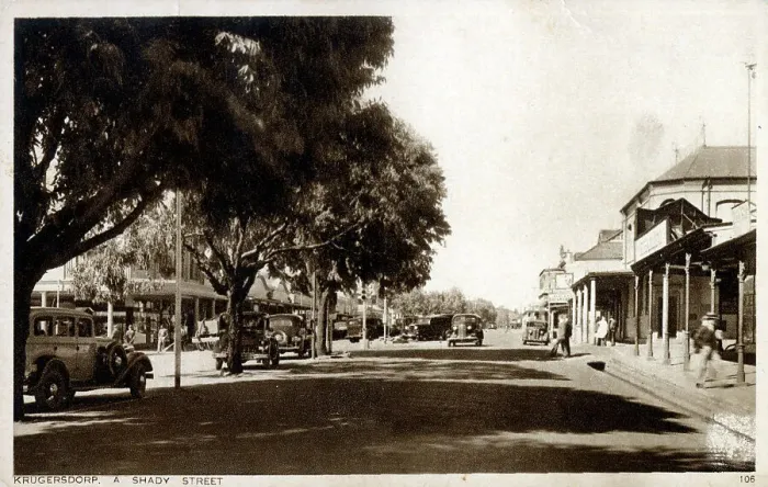 Framed Print : A Shady Street, Krugersdorp, South Africa Framed Print : A Shady Street, Krugersdorp, South Africa