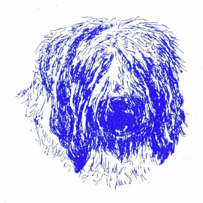 Framed Print : Shaggy dog's head - 1950s printer's block Framed Print : Shaggy dog's head - 1950s printer's block