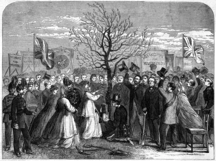 Framed Print : Shakespeare Oak 1864 Framed Print : Shakespeare Oak 1864