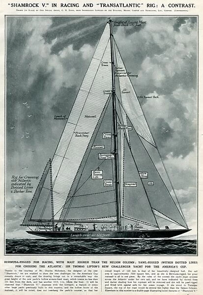 Shamrock V yacht by G. H. Davis