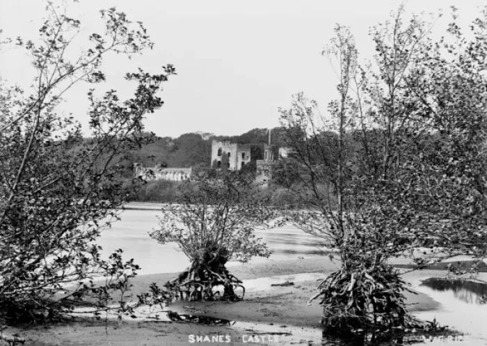 Framed Print : Shanes Castle Framed Print : Shanes Castle
